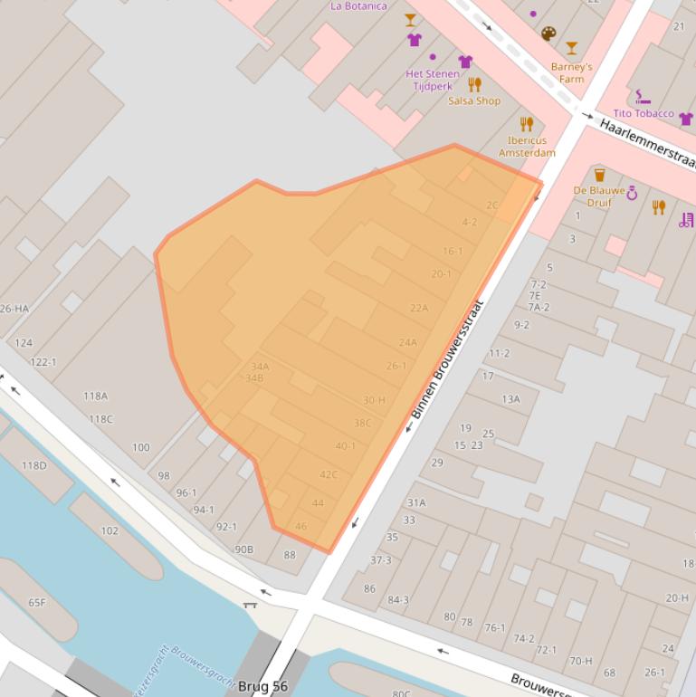 Kaart van postcodegebied 1013EG.