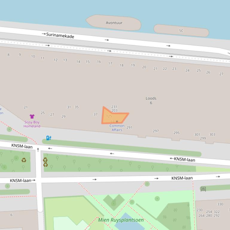 Kaart van postcodegebied 1019LB.