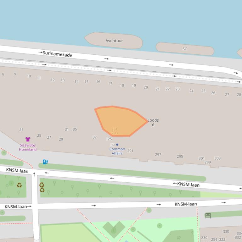 Kaart van postcodegebied 1019LC.