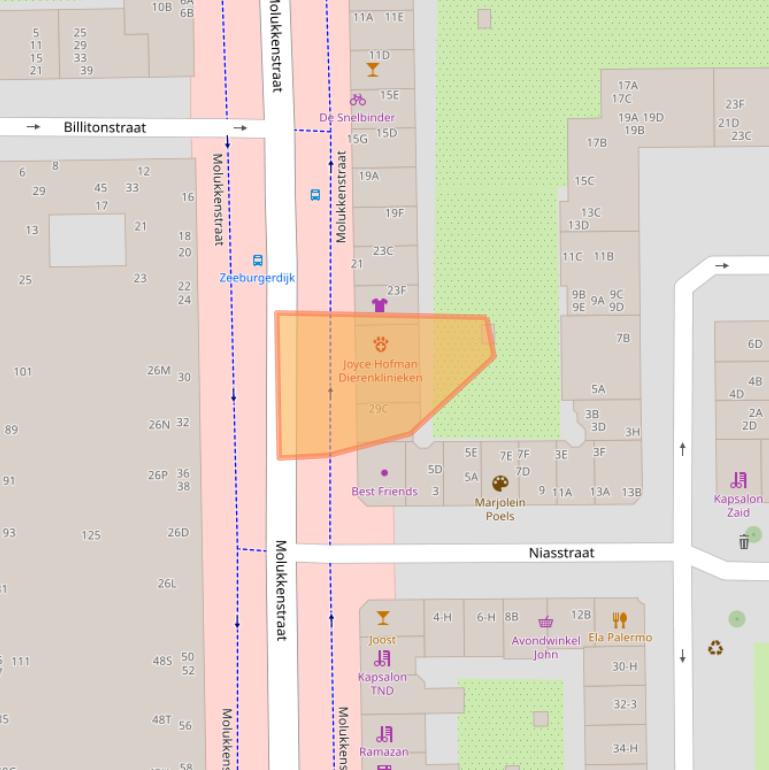 Kaart van postcodegebied 1095AS.