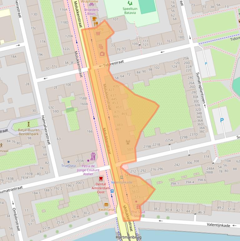 Kaart van postcodegebied 1095BJ.