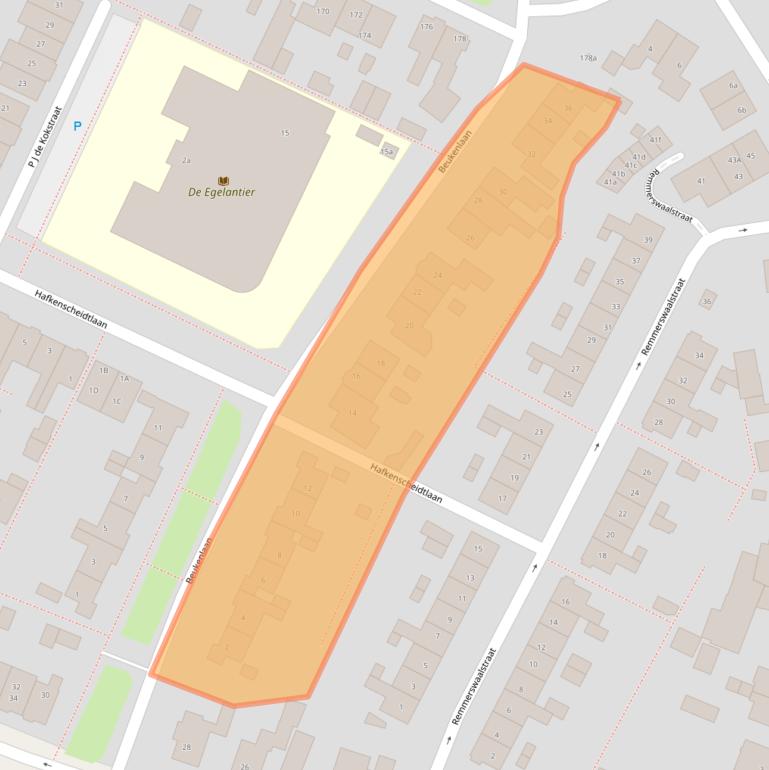 Kaart van postcodegebied 2191BM.