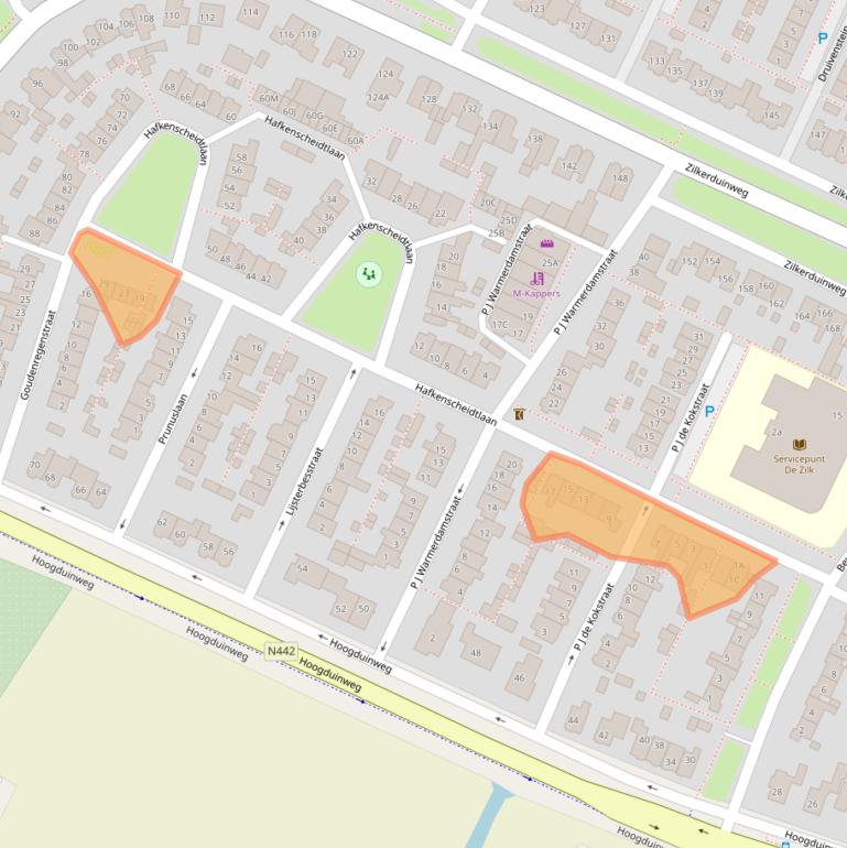 Kaart van postcodegebied 2191BN.