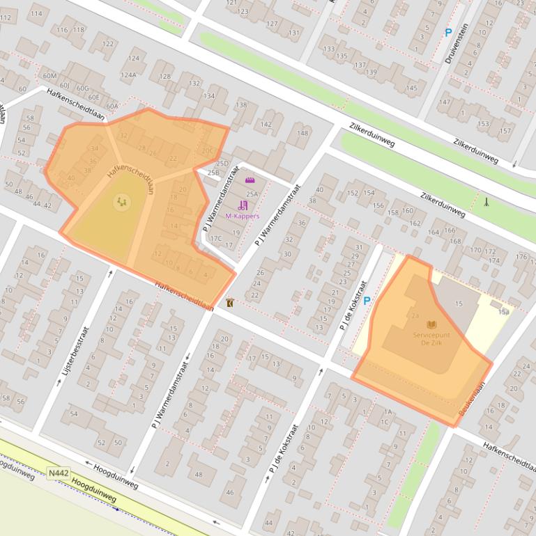 Kaart van postcodegebied 2191BP.