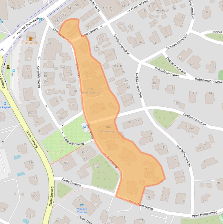 Kaart van postcodegebied 2202CP.