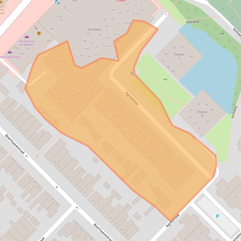 Kaart van postcodegebied 2215HS.