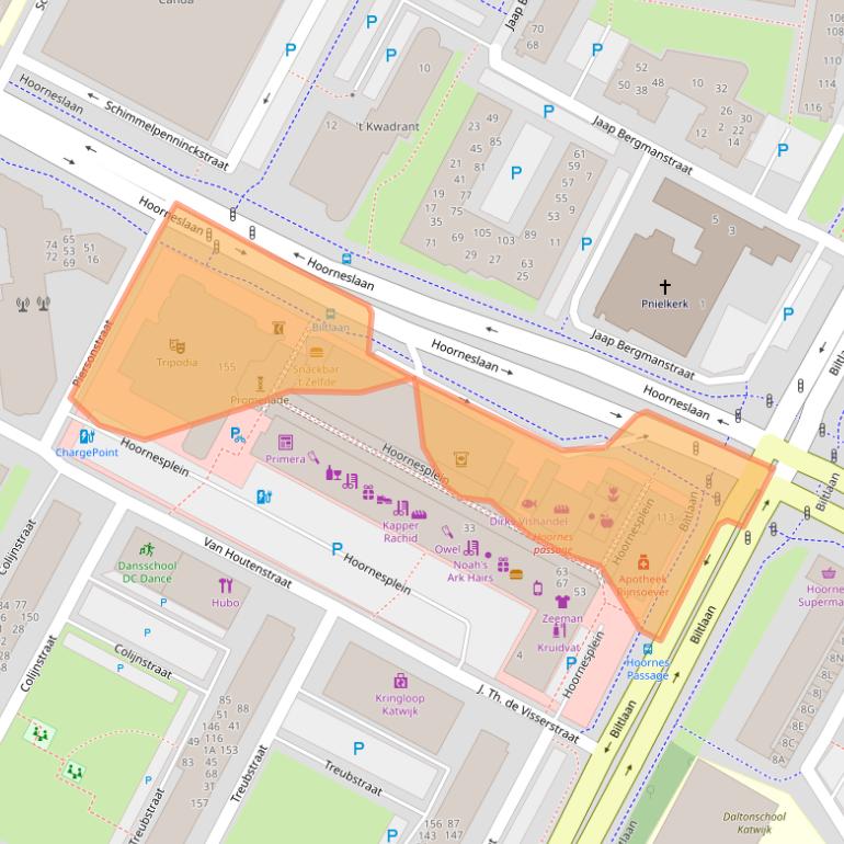 Kaart van postcodegebied 2221BE.