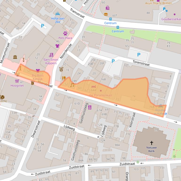 Kaart van postcodegebied 2225ES.