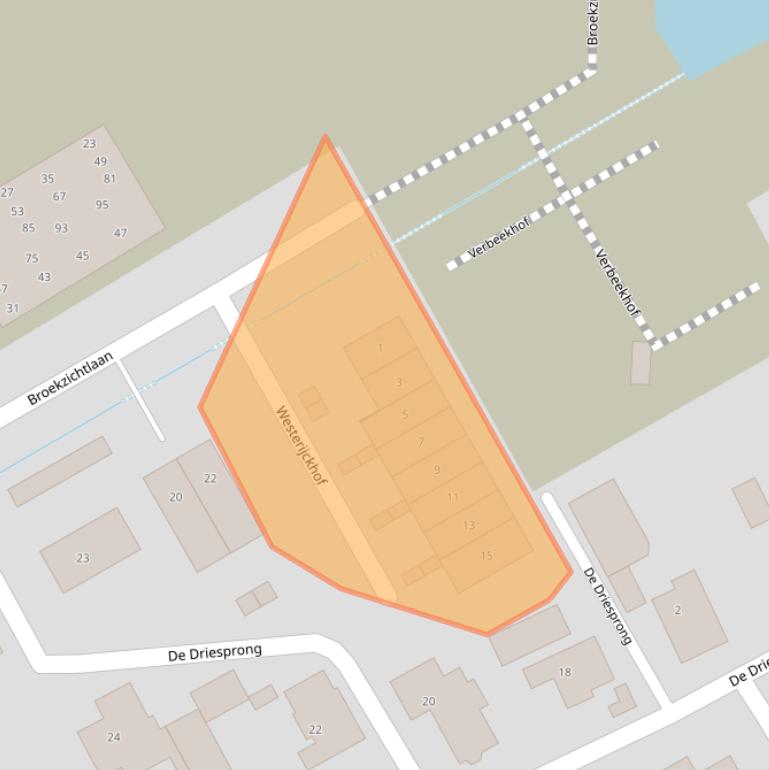 Kaart van postcodegebied 2295AC.