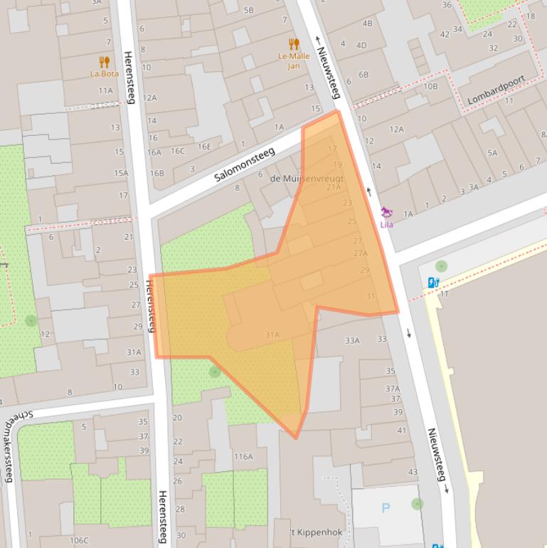 Kaart van postcodegebied 2311RX.