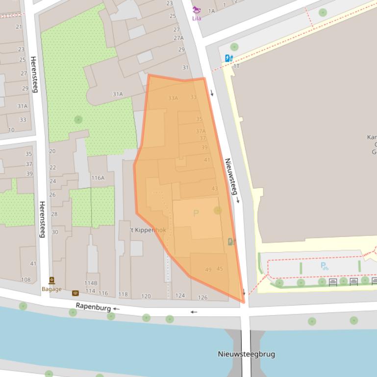 Kaart van postcodegebied 2311RZ.