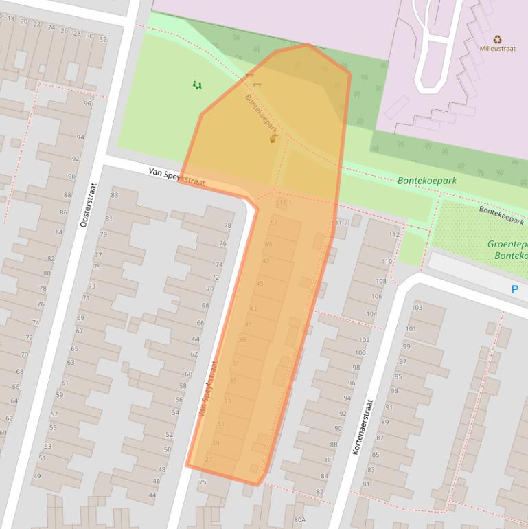 Kaart van postcodegebied 2315TS.