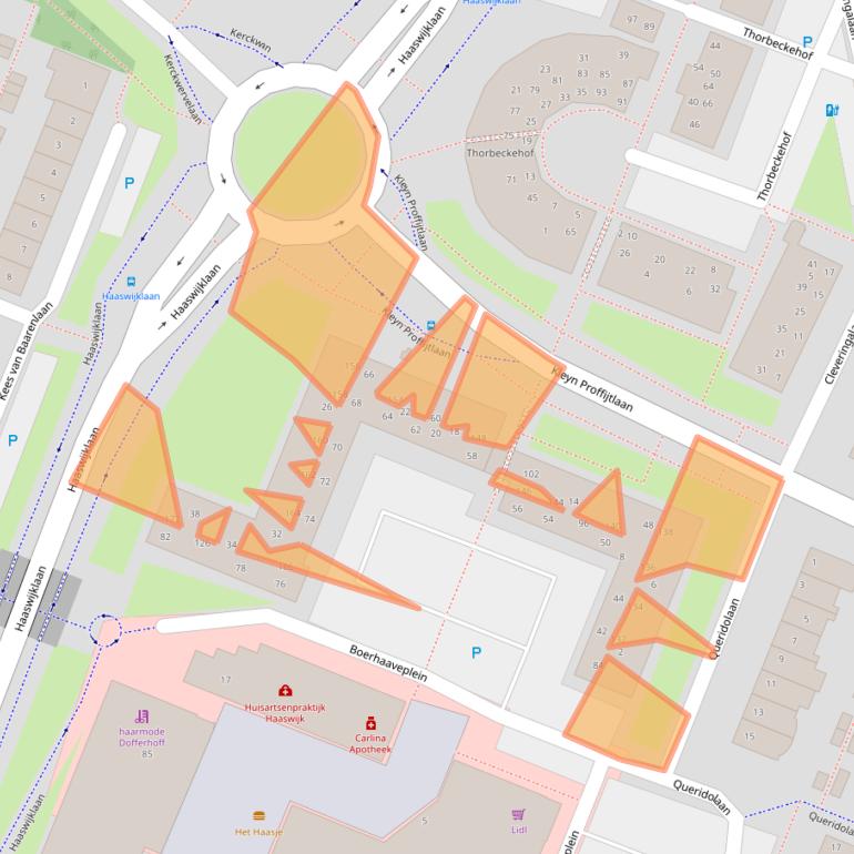 Kaart van postcodegebied 2343LZ.