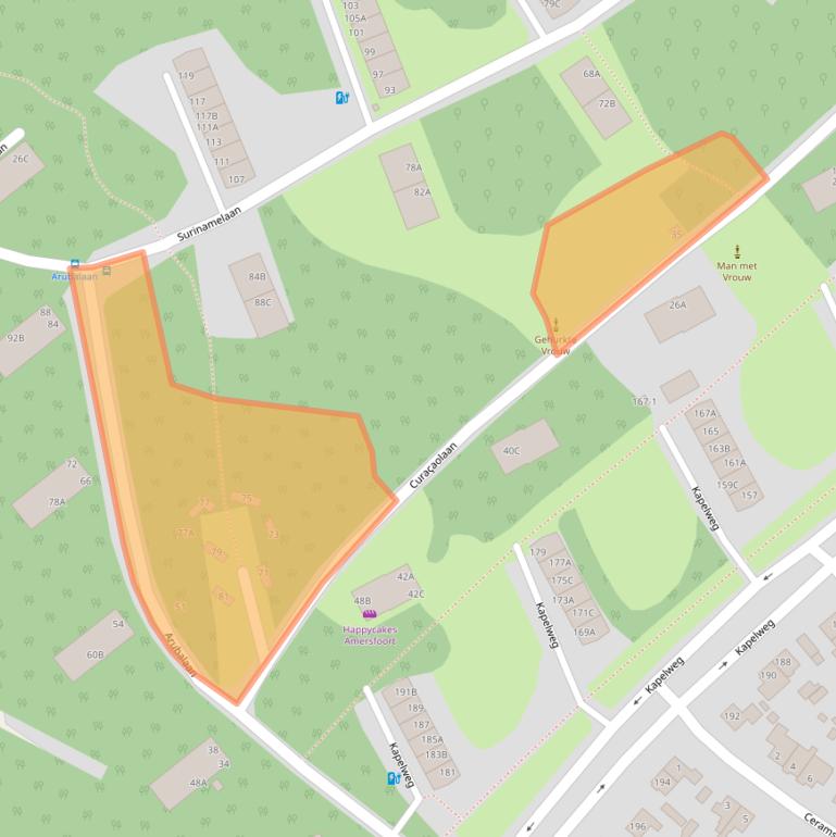 Kaart van postcodegebied 3818SC.