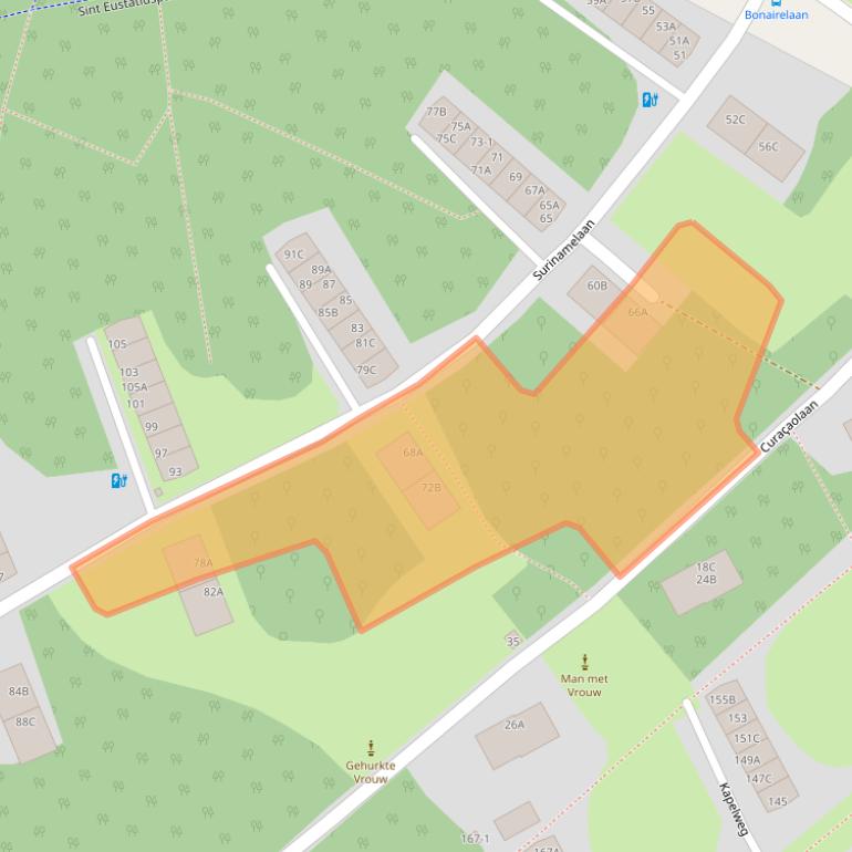 Kaart van postcodegebied 3818TN.