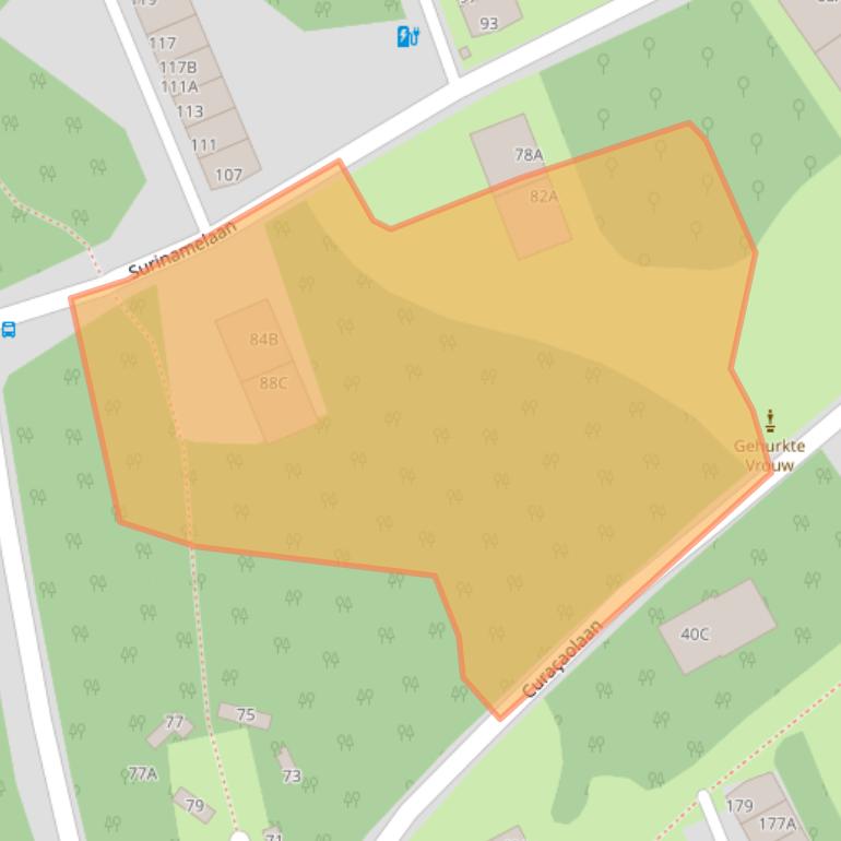 Kaart van postcodegebied 3818TP.