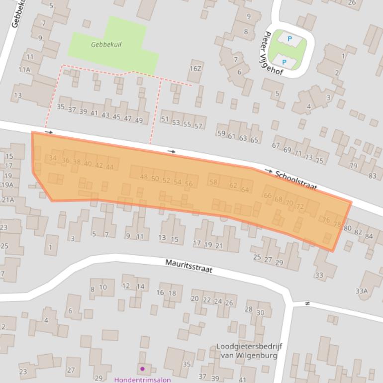 Kaart van postcodegebied 3881TS.