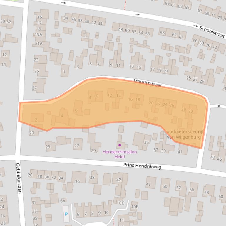 Kaart van postcodegebied 3881TZ.