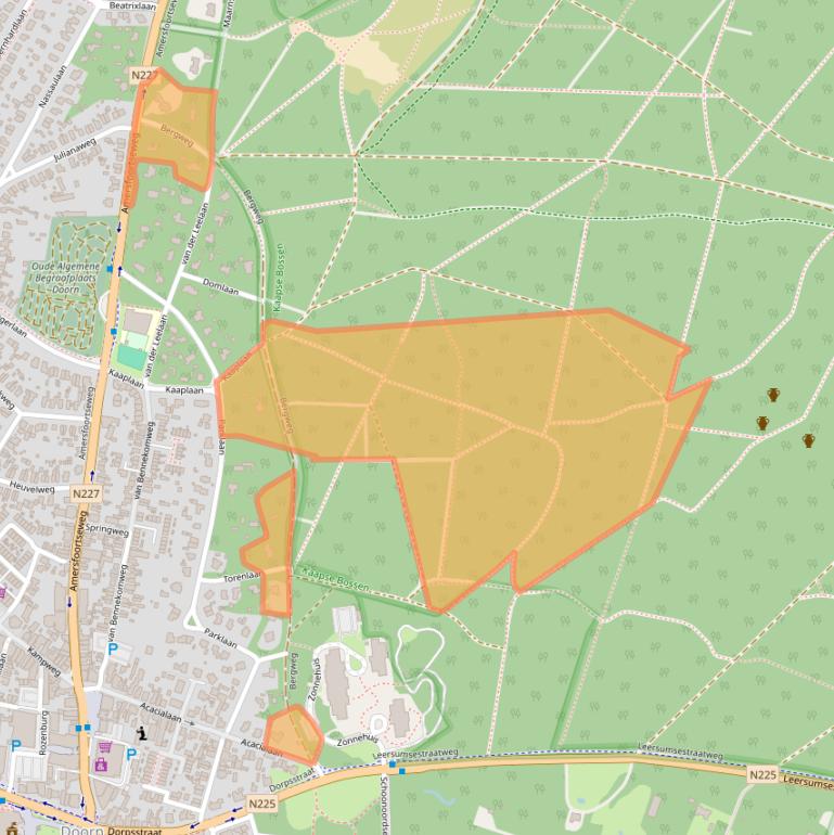 Kaart van postcodegebied 3941RA.