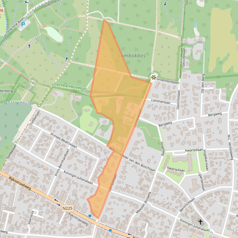 Kaart van postcodegebied 3956DE.