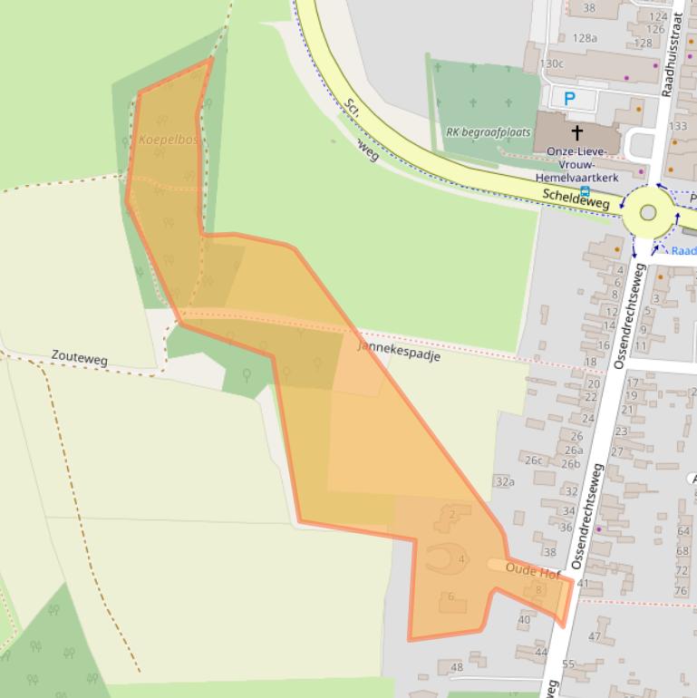 Kaart van postcodegebied 4631BT.