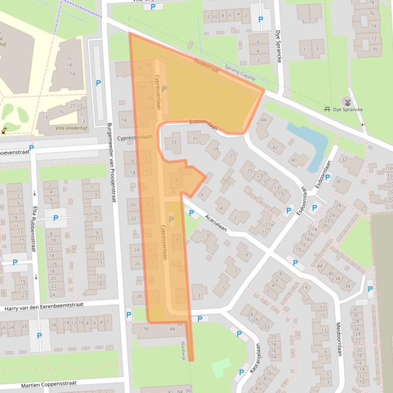 Kaart van postcodegebied 5161VW.