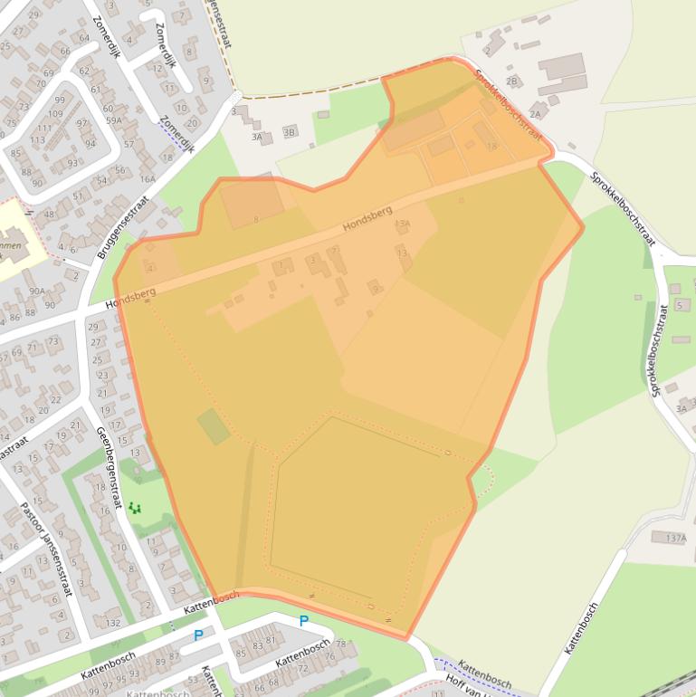 Kaart van postcodegebied 5243RL.