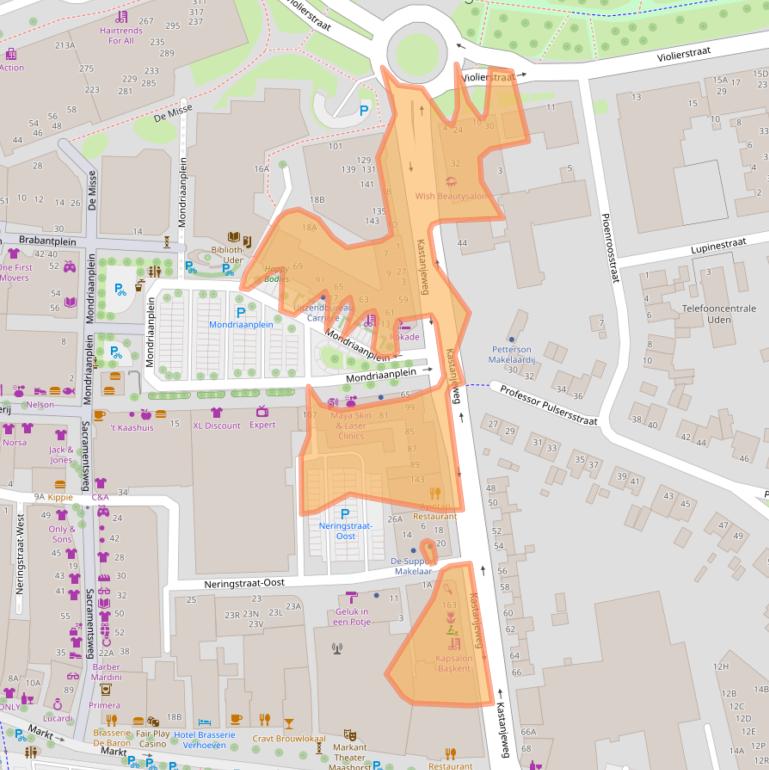 Kaart van postcodegebied 5401GW.