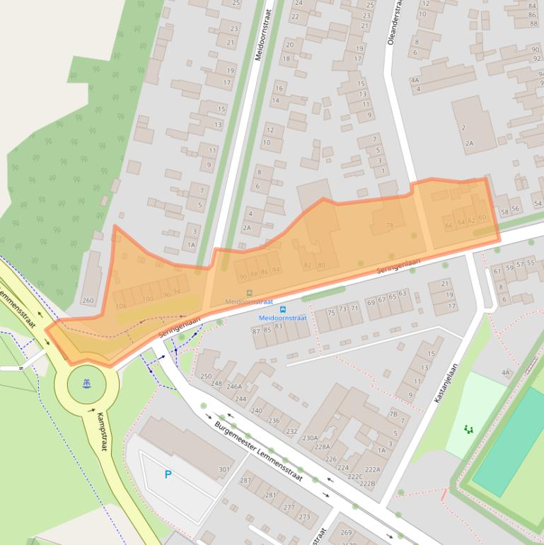 Kaart van postcodegebied 6163EZ.