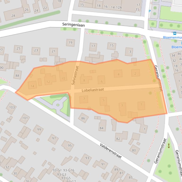 Kaart van postcodegebied 6163GA.