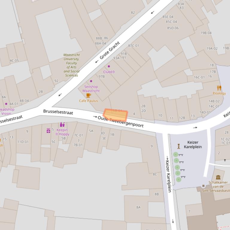 Kaart van postcodegebied 6211TP.