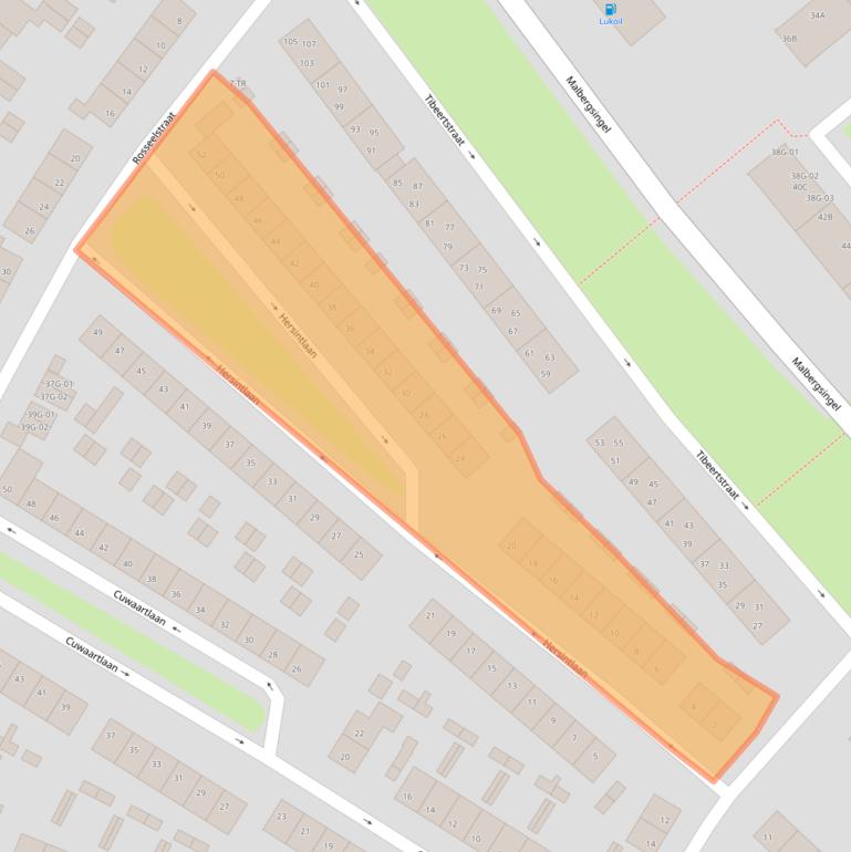 Kaart van postcodegebied 6217AR.