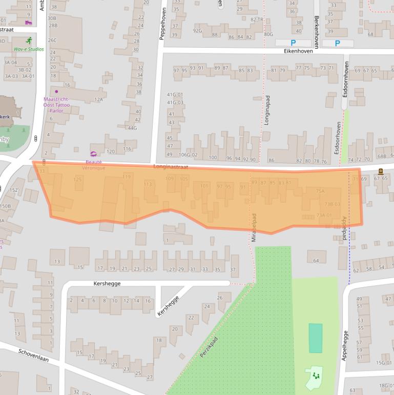 Kaart van postcodegebied 6225AN.