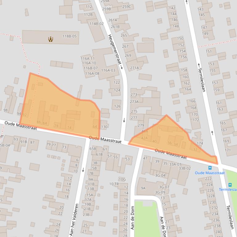 Kaart van postcodegebied 6229BD.