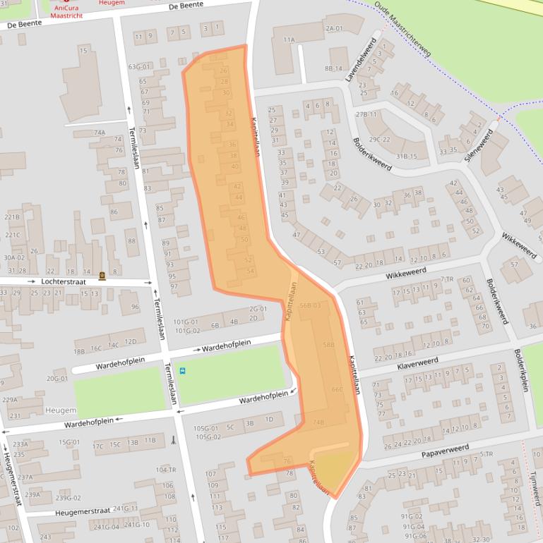 Kaart van postcodegebied 6229VP.