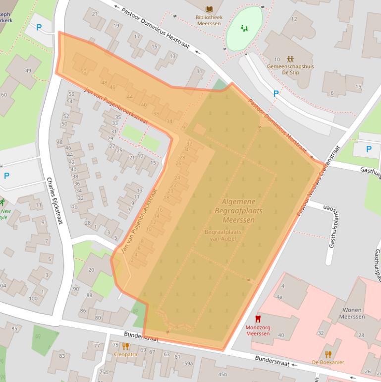 Kaart van postcodegebied 6231NA.