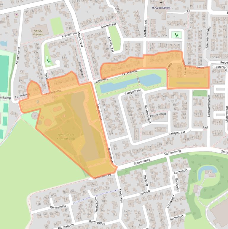 Kaart van postcodegebied 7161HR.