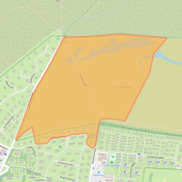 Kaart van postcodegebied 9161DH.