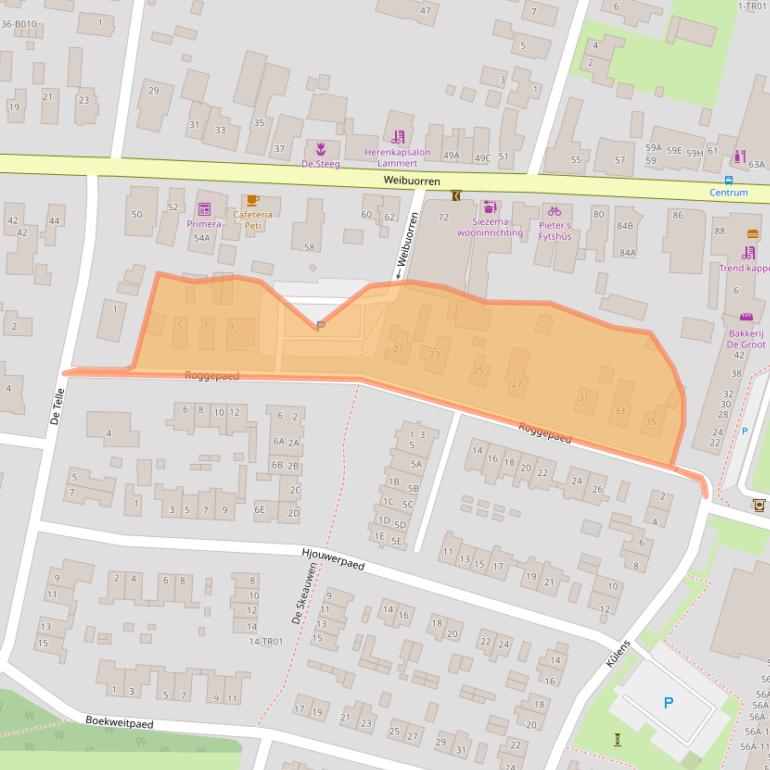Kaart van postcodegebied 9247BK.