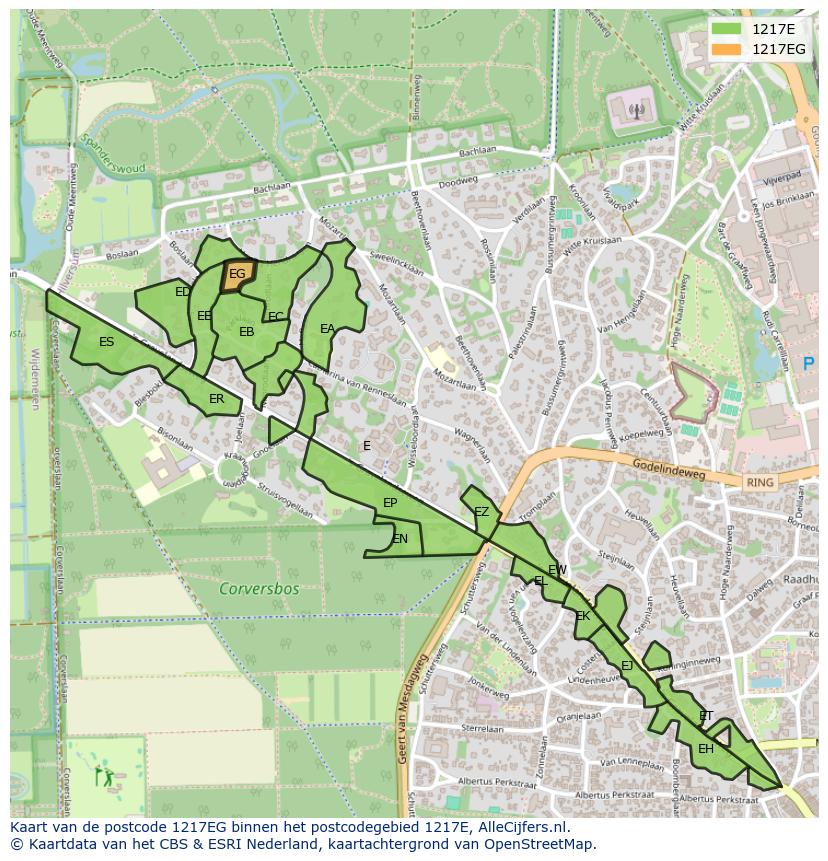 Afbeelding van het postcodegebied 1217 EG op de kaart.