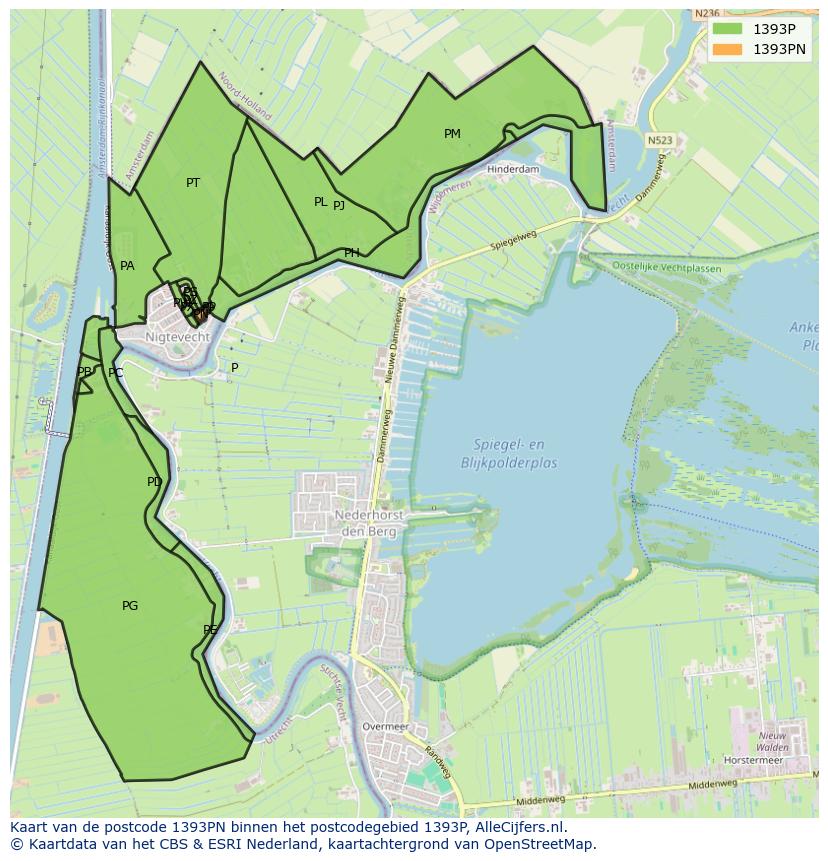 Afbeelding van het postcodegebied 1393 PN op de kaart.