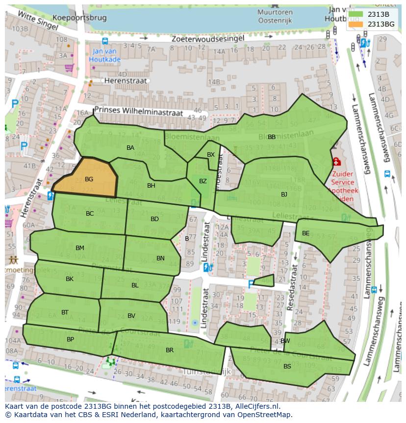 Afbeelding van het postcodegebied 2313 BG op de kaart.