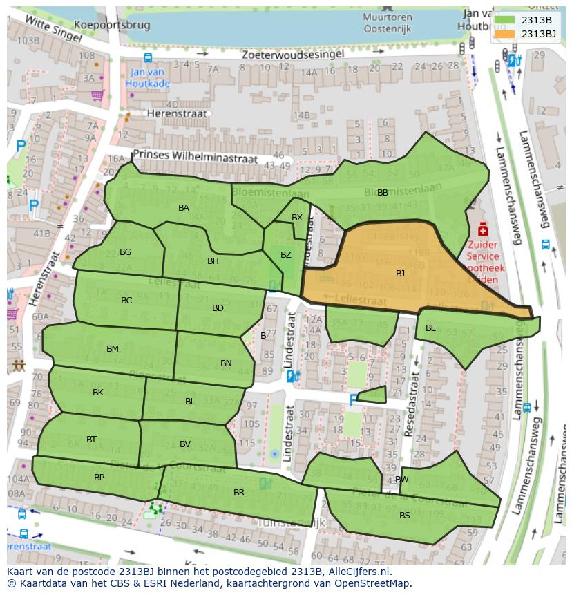 Afbeelding van het postcodegebied 2313 BJ op de kaart.