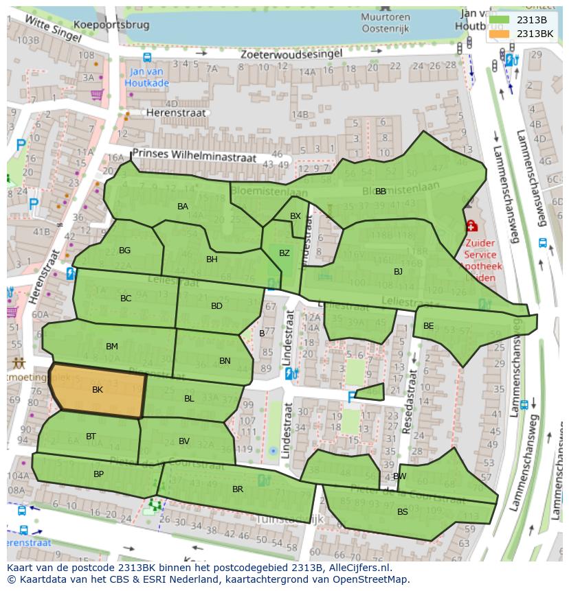 Afbeelding van het postcodegebied 2313 BK op de kaart.