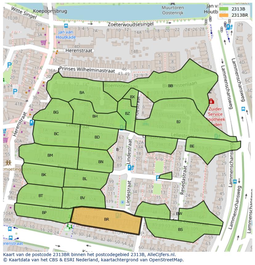 Afbeelding van het postcodegebied 2313 BR op de kaart.