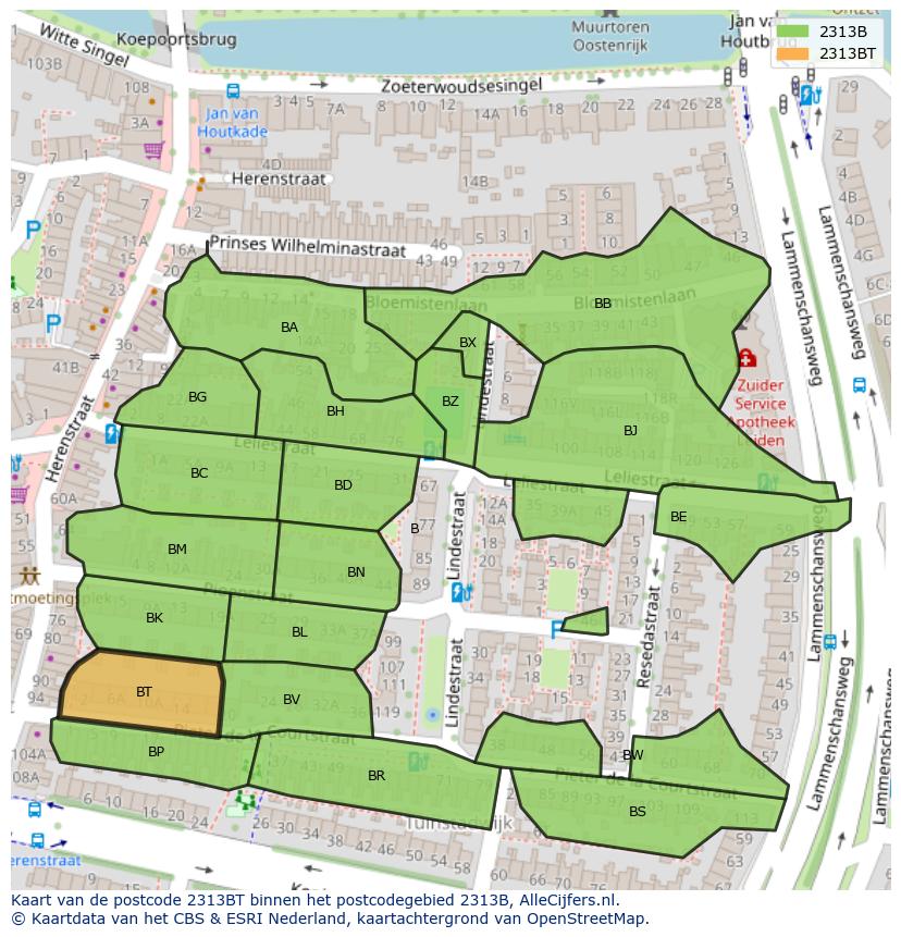 Afbeelding van het postcodegebied 2313 BT op de kaart.
