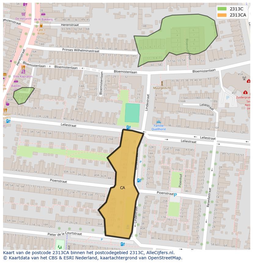 Afbeelding van het postcodegebied 2313 CA op de kaart.