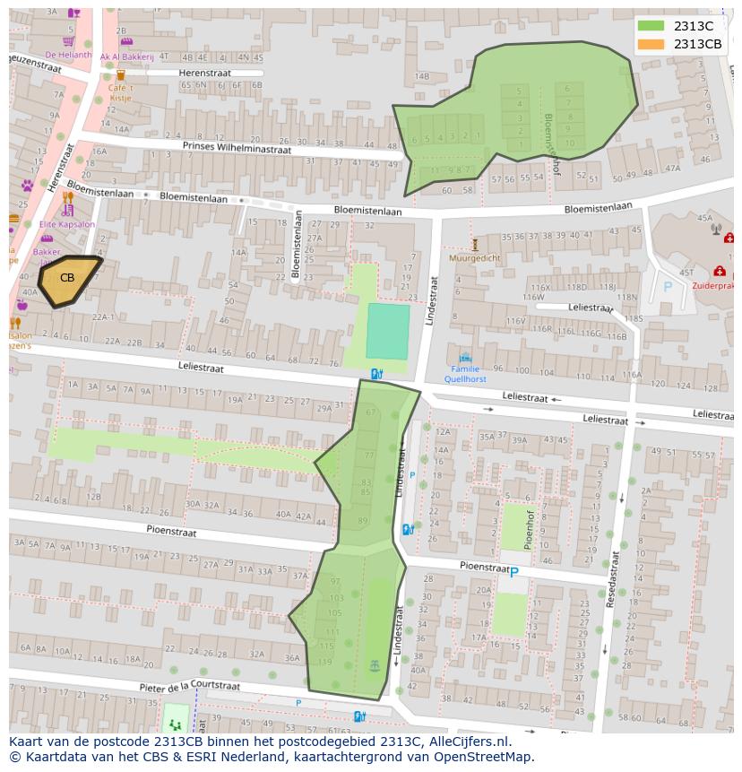 Afbeelding van het postcodegebied 2313 CB op de kaart.