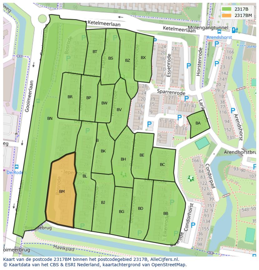 Afbeelding van het postcodegebied 2317 BM op de kaart.