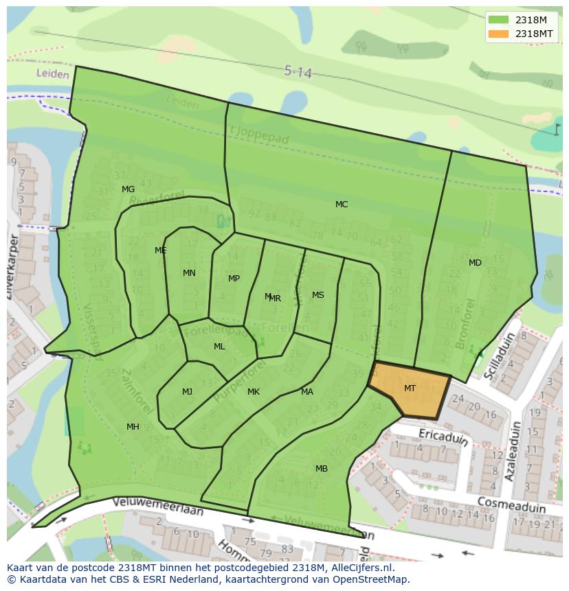 Afbeelding van het postcodegebied 2318 MT op de kaart.
